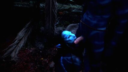 Это не Аватар XXX | This Ain't Avatar XXX (2010) RUS