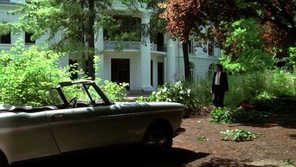 Прекрасная пленница | La belle captive (1982) эротический фильм