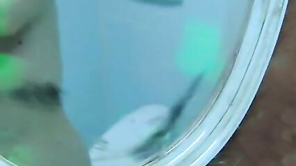 Тинто Брасс: Порочные отношения (2002) эротическая новелла