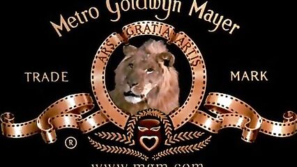 Дикая орхидея / Wild Orchid (1989) смотреть онлайн