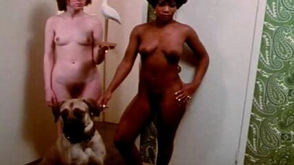 Итальянский жеребец (Вечеринка у Китти и Стада) порнофильм с переводом