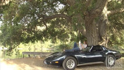 Возвращение | Coming Home — военный порнофильм на русском языке