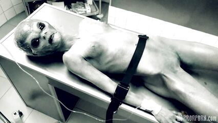 Секс с инопланетянином из разбившегося Розуэлльского НЛО