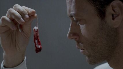 Порнократия | Анатомия Ада, эротическая драма