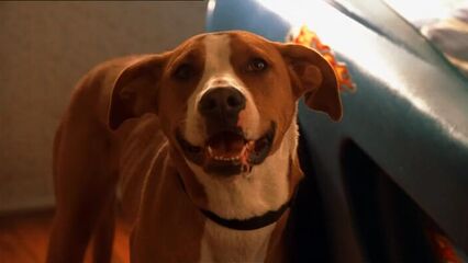 Кен Парк | Ken Park (2002) эротический секс фильм +18