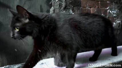 Женщина-кошка — Котошлюха (Catwhore) порно пародия