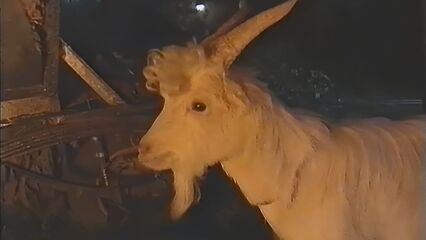 Анальный романс | Romanza Anale (2001) порно фильмы