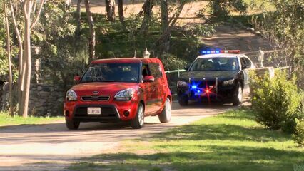 Грудастые полицейские | Busty Cops, с русским переводом