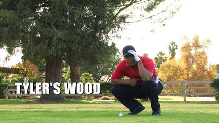 Тайлер Вуд | Tyler's Wood, порно фильмы с русским переводом