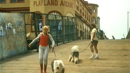 Чарли | Charli (1981) винтажный ретро порнофильм [RUS]