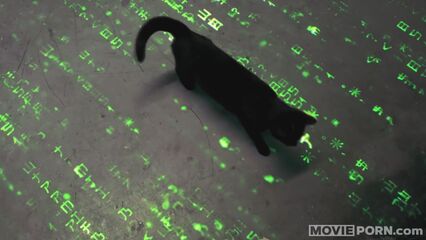 Порно фильм 5: МатрицаXx | Movie Porn 5: MatrixXx (2018)