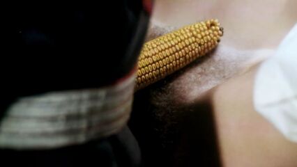 Екатерина, обнажённая царица (Katharina und ihre wilden Hengste)