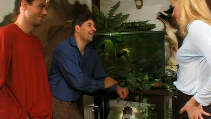 Любитель задниц 14 | Assman 14 — ретро порно фильм HD