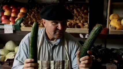 Тайны гарема | Secrets of the Harem (2008) с русским переводом